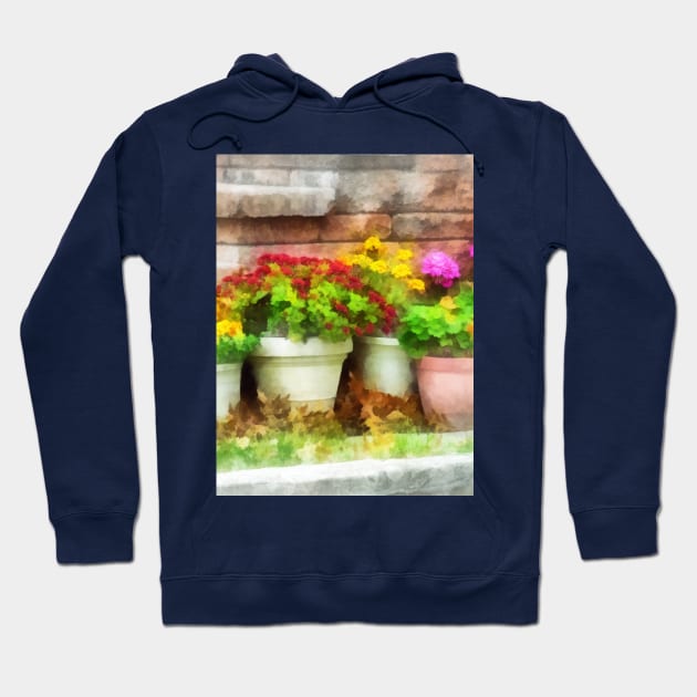 Flowerpots with Autumn Flowers Hoodie by SusanSavad